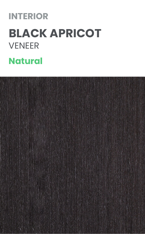 Modern interior Avanti Flat Mat Black Apricot Pocket doors Door