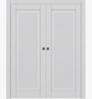 Ca1 Primed Double pocket doors