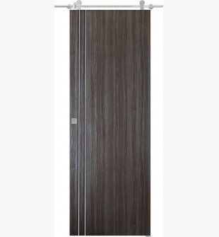 Palladio 2V Gray Oak Barn doors