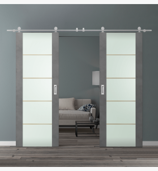 DOUBLE BARN DOOR AVON 202 4H GOLD STRIPS VETRO DARK URBAN 56" X 84" X 1 3/4" STAINLESS STEEL HARDWARE
