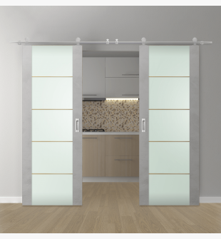 DOUBLE BARN DOOR AVON 202 4H GOLD STRIPS VETRO LIGHT URBAN 48" X 96" X 1 3/4" STAINLESS STEEL HARDWARE