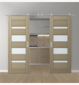 DOUBLE BARN DOOR AVON 07-01 VETRO SHAMBOR 64" X 96" X 1 3/4" STAINLESS STEEL HARDWARE