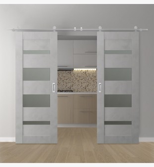 DOUBLE BARN DOOR AVON 07-01 VETRO LIGHT URBAN 56" X 80" X 1 3/4" STAINLESS STEEL HARDWARE