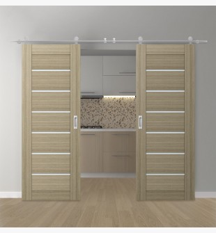 DOUBLE BARN DOOR AVON 07-02 VETRO SHAMBOR 72" X 96" X 1 3/4" STAINLESS STEEL HARDWARE