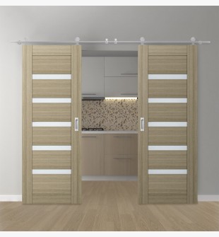 DOUBLE BARN DOOR AVON 07-04 VETRO SHAMBOR 56" X 96" X 1 3/4" STAINLESS STEEL HARDWARE