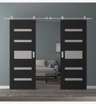 DOUBLE BARN DOOR AVON 07-05 VETRO BLACK MATTE 60" X 84" X 1 3/4" STAINLESS STEEL HARDWARE