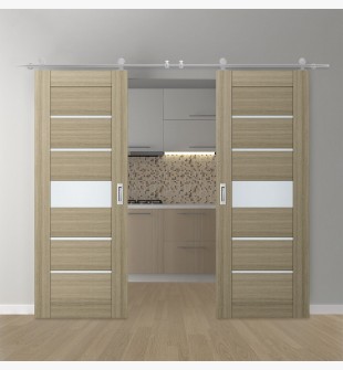 DOUBLE BARN DOOR AVON 07-06 VETRO SHAMBOR 56" X 84" X 1 3/4" STAINLESS STEEL HARDWARE