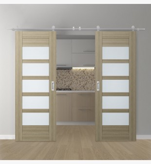 DOUBLE BARN DOOR AVON 07-07 VETRO SHAMBOR 56" X 84" X 1 3/4" STAINLESS STEEL HARDWARE