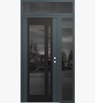 Diamond C15 48" x 96" anthracite/anthracite mirrored Glass Panel black LHI with Sidelite and Transom mirrored Glass