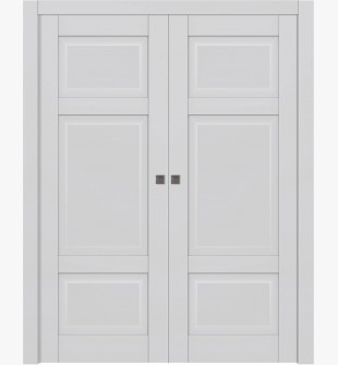 Ca3 Primed Double pocket doors