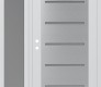 Modern Steel Front Door Diamond C11 48" x 80" white/white frosted Glass Panel stainless steel RHI with Sidelite frosted Glass