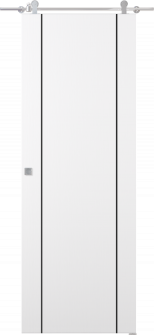 Smart Pro 2U Black Polar White Barn doors