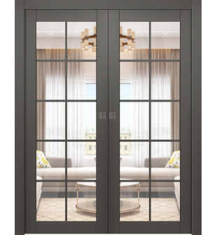 Avon 10 Lite Clear Gray Matte Double pocket doors