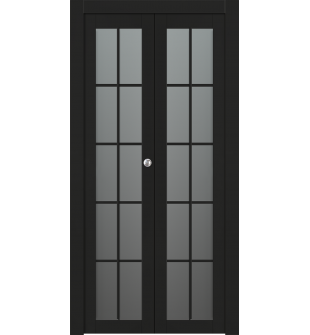 Avon 10 Lite Vetro Black Matte Bi-folding doors