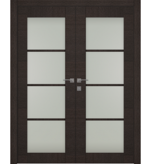 Swinging Modern Contemporary Glass Double Interior Doors