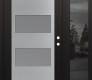 Modern Steel Front Door Diamond C2 48" x 80" black/white frosted Glass Panel stainless steel LHI with Sidelite mirrored Glass