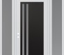 Modern Steel Front Door Diamond C6 64" x 96" white/white frosted Glass Panel black RHI with 2 Sidelites and Transom frosted Glass