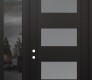 Modern Steel Front Door Diamond C2 48" x 96" black/white frosted Glass Panel black RHI with Sidelite and Transom mirrored Glass