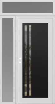 Diamond C6 48" x 96" white/white clear Glass Panel black RHI with Sidelite and Transom frosted Glass