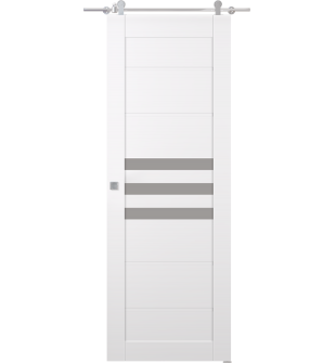 Dome Vetro Snow White Barn doors
