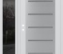 Modern Steel Front Door Diamond C11 52" x 80" white/white frosted Glass Panel stainless steel LHI with Sidelite mirrored Glass