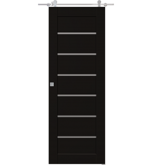 Alba Black Matte Barn doors