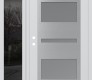 Modern Steel Front Door Diamond C10 48" x 80" white/white frosted Glass Panel stainless steel LHI with Sidelite mirrored Glass