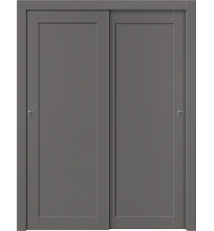 Shaker 1 Panel Gray Matte Bypass doors