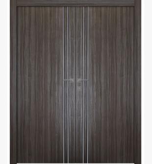 Unica 2V Gray Oak Double doors