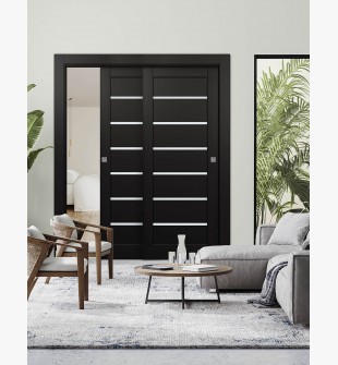 Alba Black Matte Bypass doors