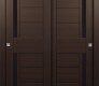 Esta Vetro Veralinga Oak Modern Interior Bypass Doors by Belldinni