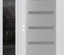 Modern Steel Front Door Diamond C7 48" x 80" white/white frosted Glass Panel stainless steel LHI with Sidelite mirrored Glass