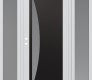 Modern Steel Front Door Diamond C13 68" x 80" white/white frosted Glass Panel black RHI with 2 Sidelites frosted Glass