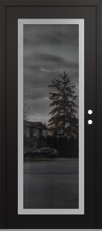 Diamond C1 36" x 80" black/black mirrored Glass Panel stainless steel LHI