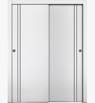 Smart Pro 2V Black Polar White Bypass doors