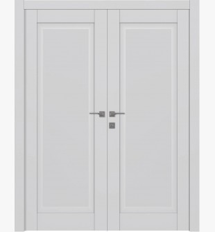 Ca1 Primed Double doors