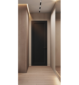 Shaker 1 Panel Black Matte Frameless