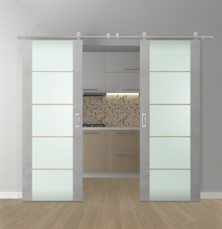 DOUBLE BARN DOOR AVON 202 4H GOLD STRIPS VETRO LIGHT URBAN 60" X 96" X 1 3/4" STAINLESS STEEL HARDWARE