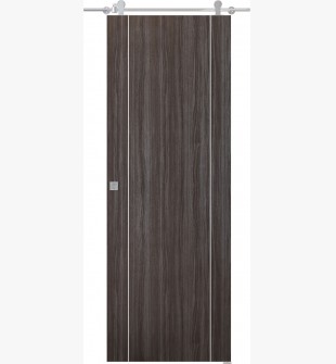 Palladio 2U Gray Oak Barn doors