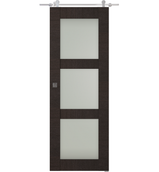 Avanti 3 Lite Vetro Black Apricot Barn doors