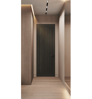 Shaker 1 Panel Gray Oak Frameless