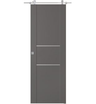 Avon 01 2H Gray Matte Barn doors