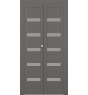 Leora Vetro Gray Matte Bi-folding doors