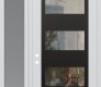 Modern Steel Front Door Diamond C2 48" x 96" white/white clear Glass Panel black RHI with Sidelite and Transom frosted Glass