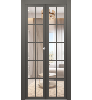 Avon 10 Lite Clear Gray Matte Bi-folding doors