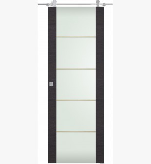 Avanti 202 4H Gold Strips Vetro Black Apricot Barn doors