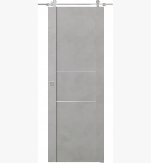Avon 01 2H Light Urban Barn doors