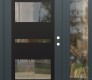 Modern Steel Front Door Diamond C10 48" x 80" anthracite/anthracite clear Glass Panel black LHI with Sidelite clear Glass
