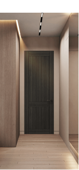 Shaker 2 Panel Gray Oak