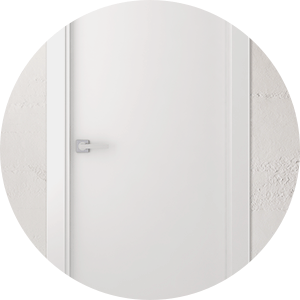 white flush door